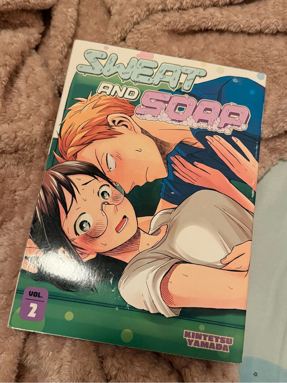 Sweat and Soap Vol. 2 Manga - Green/Purple Cover